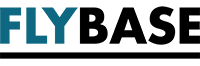nft-logo